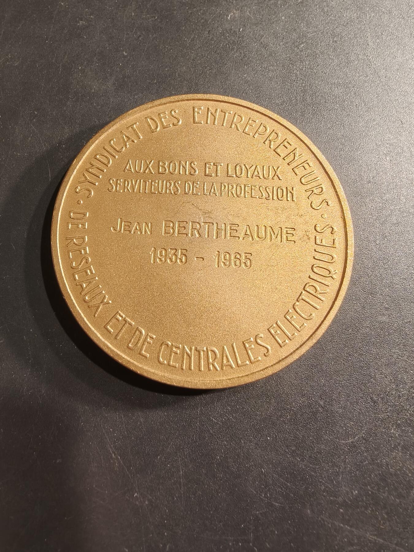 老王徽章第190期 法国电气网络、发电厂、公共与工业电气工程承包商联合会镀金大铜章     直径54mm     重量85.4g