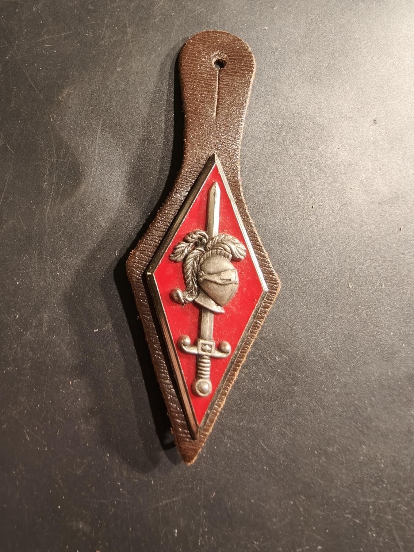 老王徽章第190期 法国陆军第10装甲师证章     