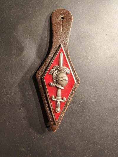 老王徽章第190期 - 法国陆军第10装甲师证章     