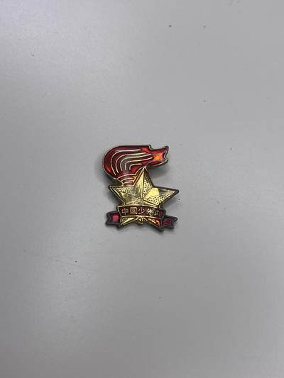 新时代收藏快速小拍 拍卖本周一线所得新货 3月29日场 - 全国少工委证章 发给参与少先队建设的老师们