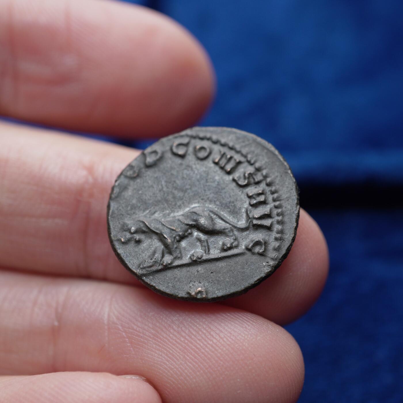 琋语集藏2026年04月欧洲古典打制币拍卖 古罗马帝国加里恩努斯-豹子铜币