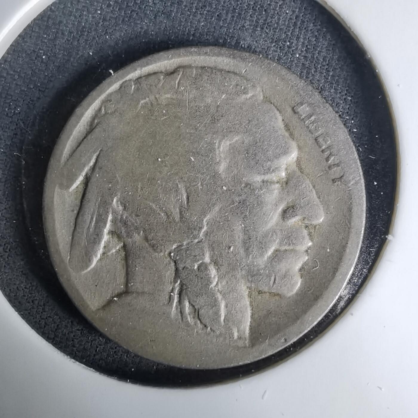 沼泽如烟--第1037场 美国野牛五分