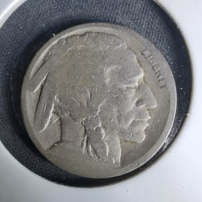 沼泽如烟--第1037场 - 美国野牛五分