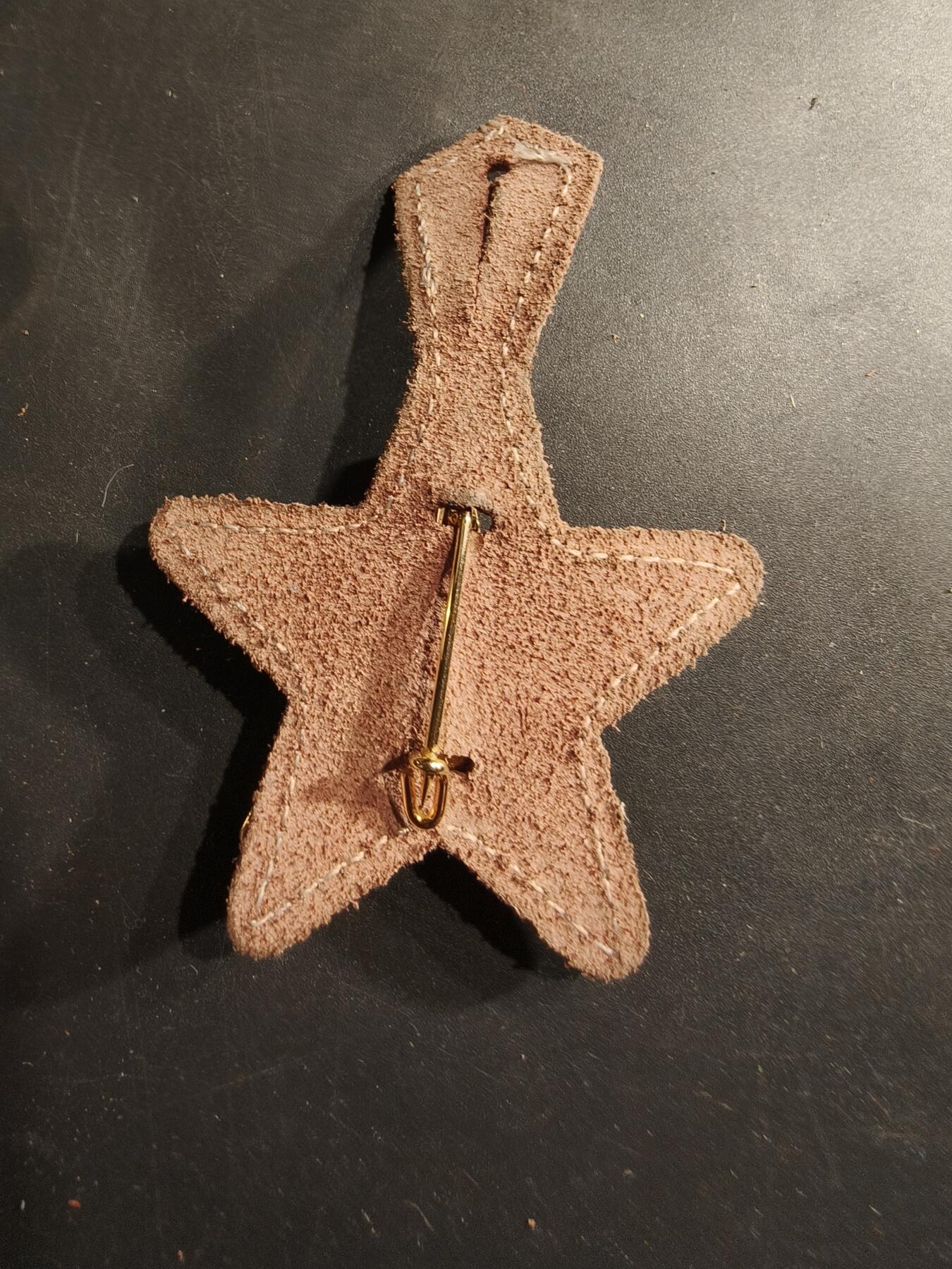 老王徽章第190期 法国陆军第1斯帕希骑兵团证章