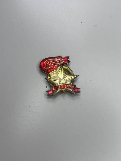 新时代收藏快速小拍 拍卖本周一线所得新货 3月29日场 - 全国少工委证章 发给参与少先队建设的老师们 3号 不同版本 大尺寸磁吸版