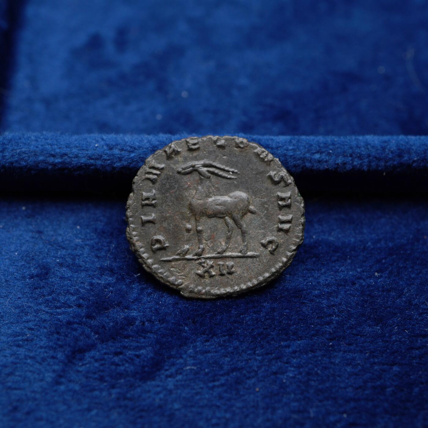 琋语集藏2026年04月欧洲古典打制币拍卖 古罗马帝国加里恩努斯-羚羊铜币