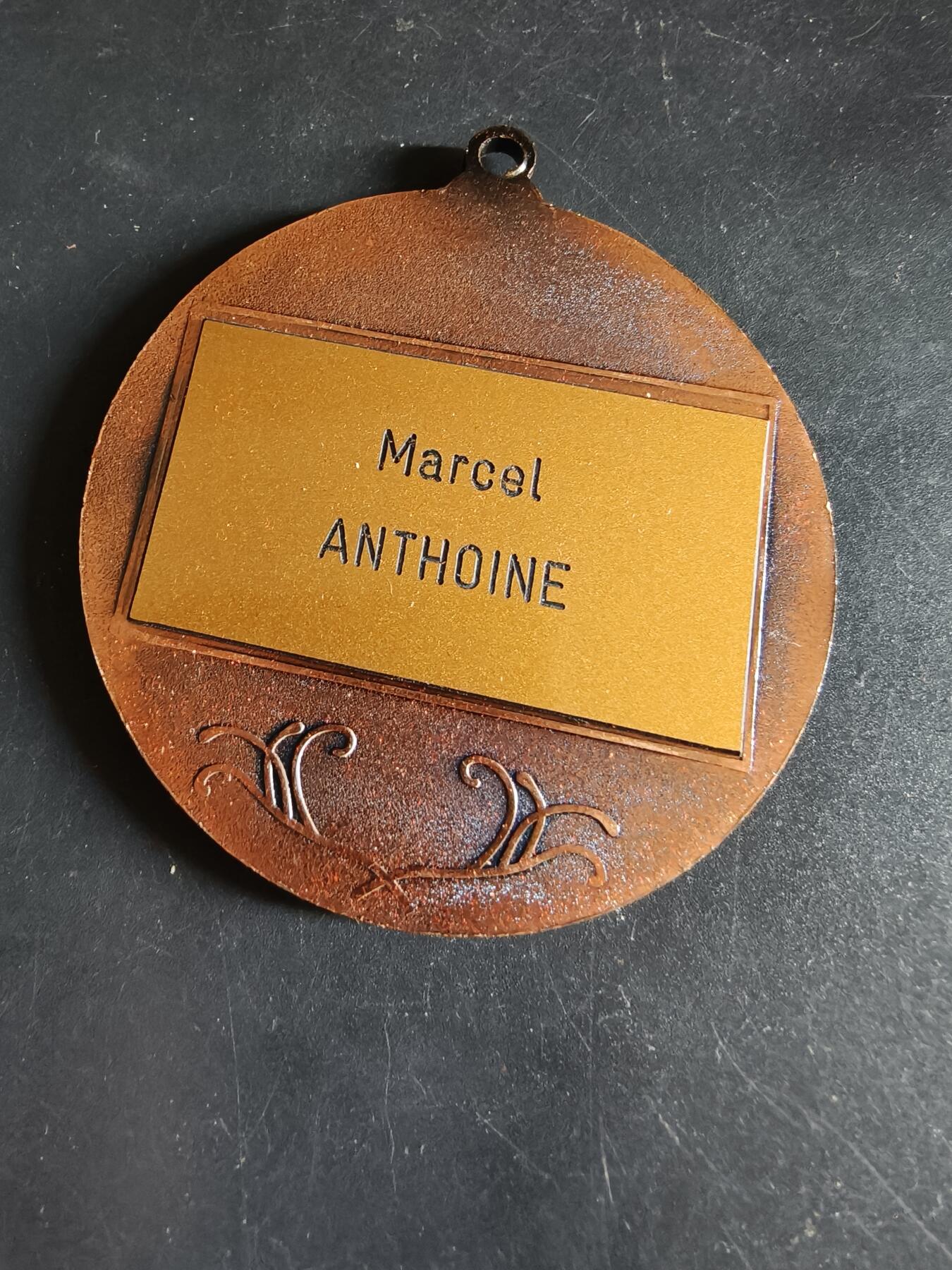 老王徽章第190期 法国奖牌     原盒      直径68mm     重量97.3g