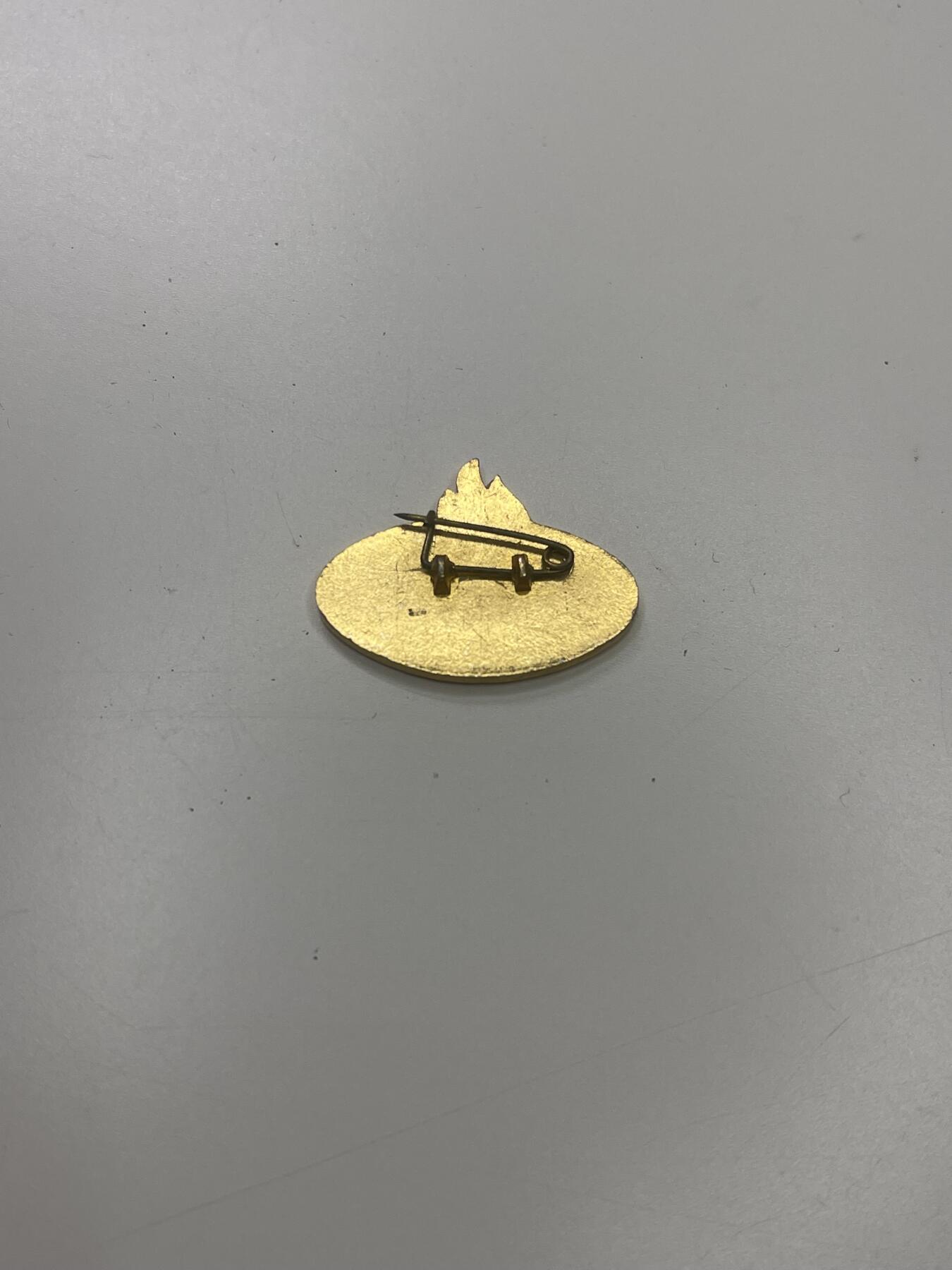 新时代收藏快速小拍 拍卖本周一线所得新货 3月29日场 北京少年红十字会会员证章 授予为红十字会捐款的未成年人