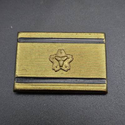 0元起拍勋章 第343期 咸鱼国勋章拍卖专场 4月1日（周三）下午6：00开始 - 消防团分团长阶级章