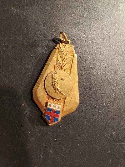 老王徽章第190期 - 法国体育纪念章