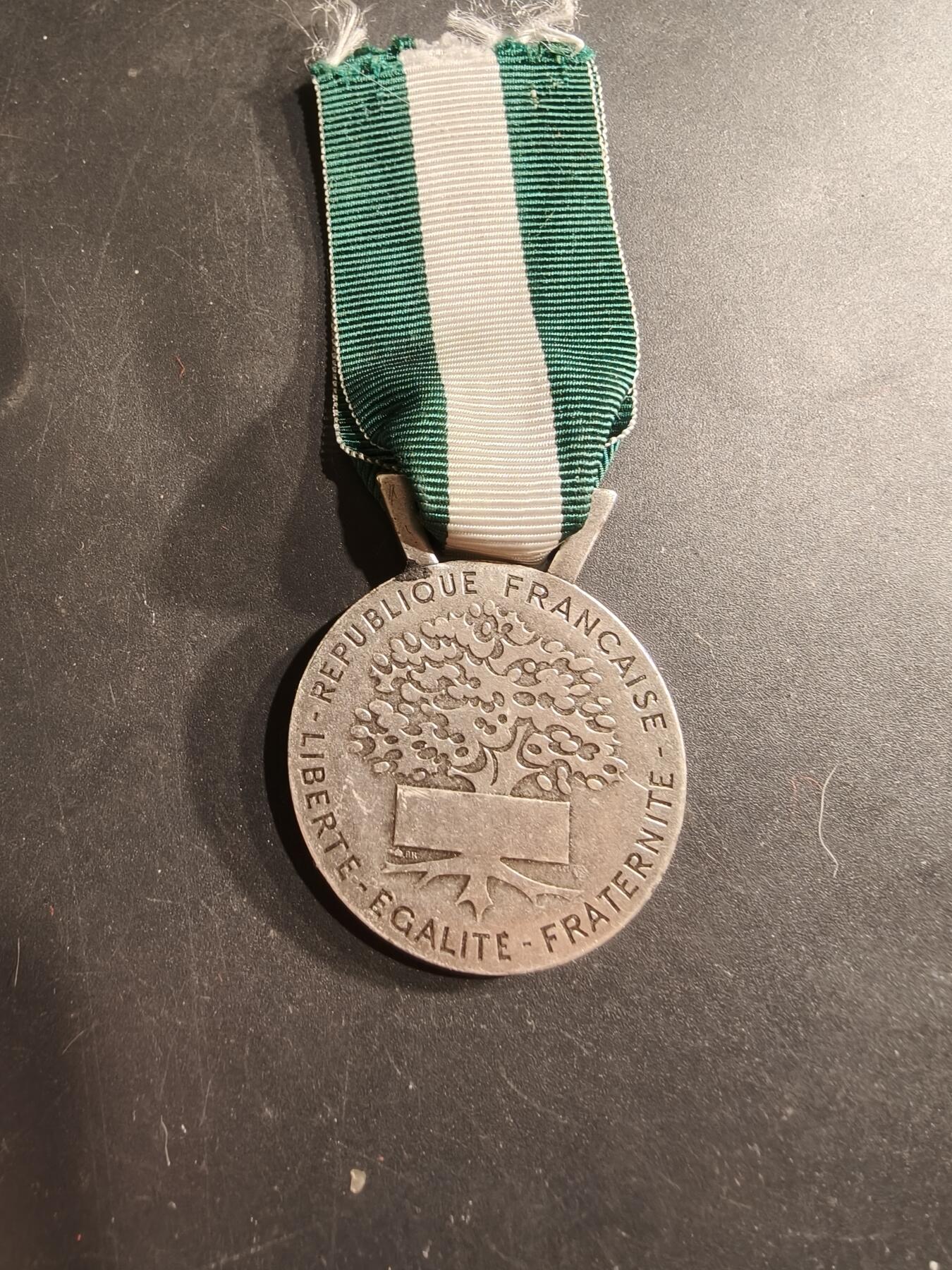 老王徽章第190期 法国银级地方嘉奖奖章