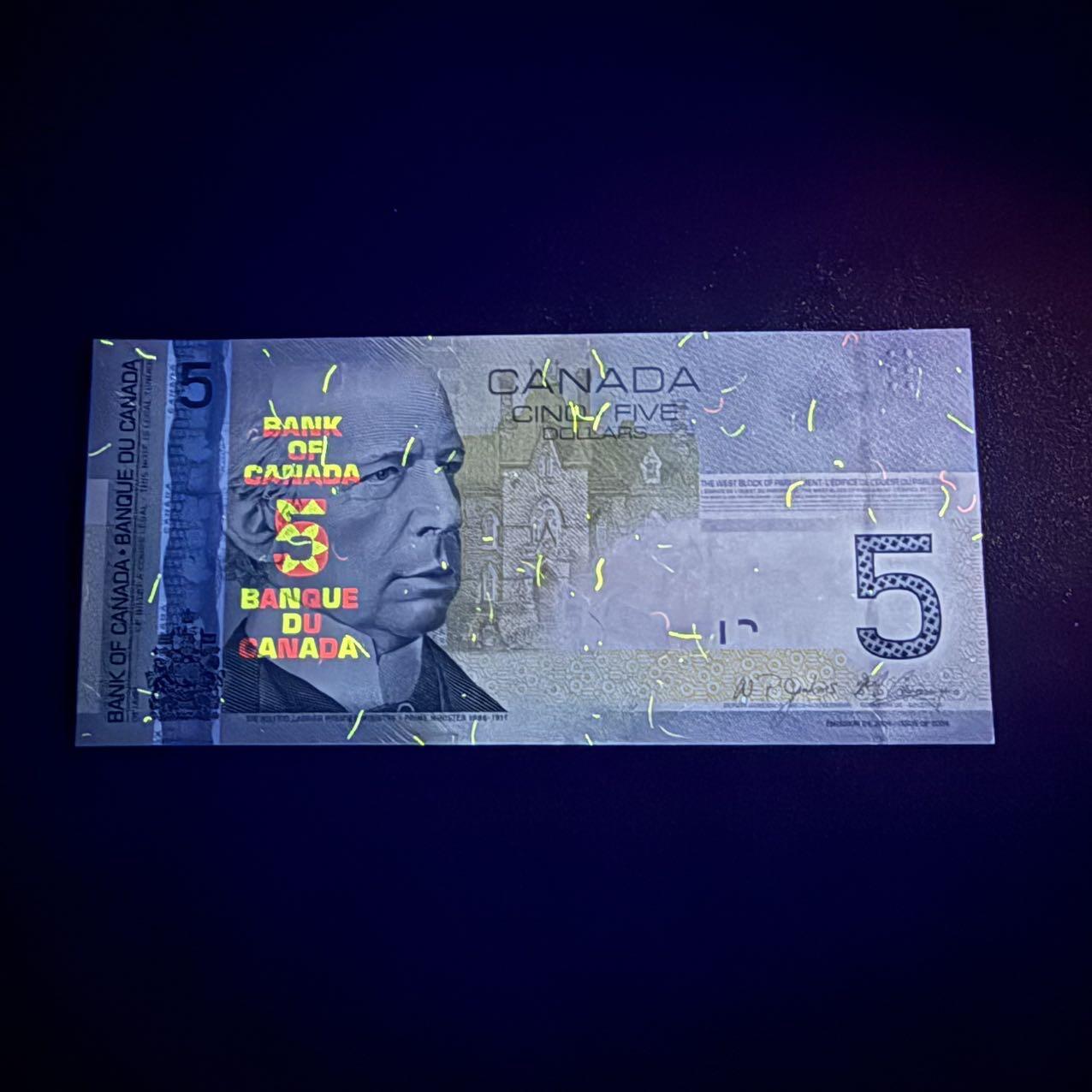 第16期 加拿大 2010年5元 豹子号 全新unc