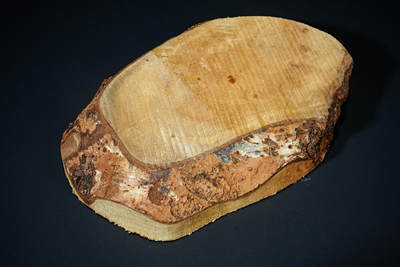 上海都达杂项专场六十九【全场包邮】 - 天然金丝楠木原料厚板94-142