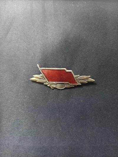 云宸嘉赏-勋臻文献佳藏优品精选场次（低佣 转发佣金红包） - 民主德国工战队银级先锋战士奖章 早期版本 