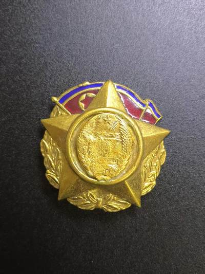云宸嘉赏-勋臻文献佳藏优品精选场次（低佣 转发佣金红包） - 朝鲜民主主义人民共和国建国二十周年勋章 编号版 授予为朝鲜建国、建设有贡献的人员 