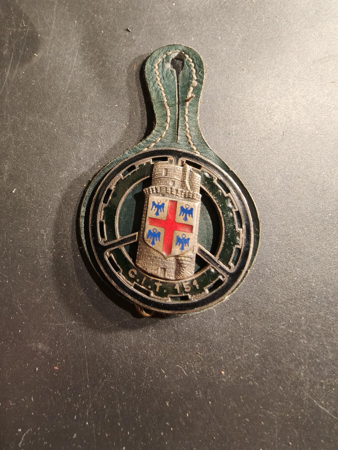 老王徽章第190期 法国陆军第151运输训练中心证章