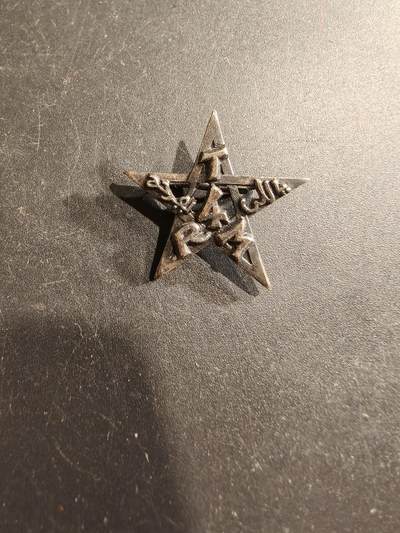 老王徽章第190期 - 法国证章