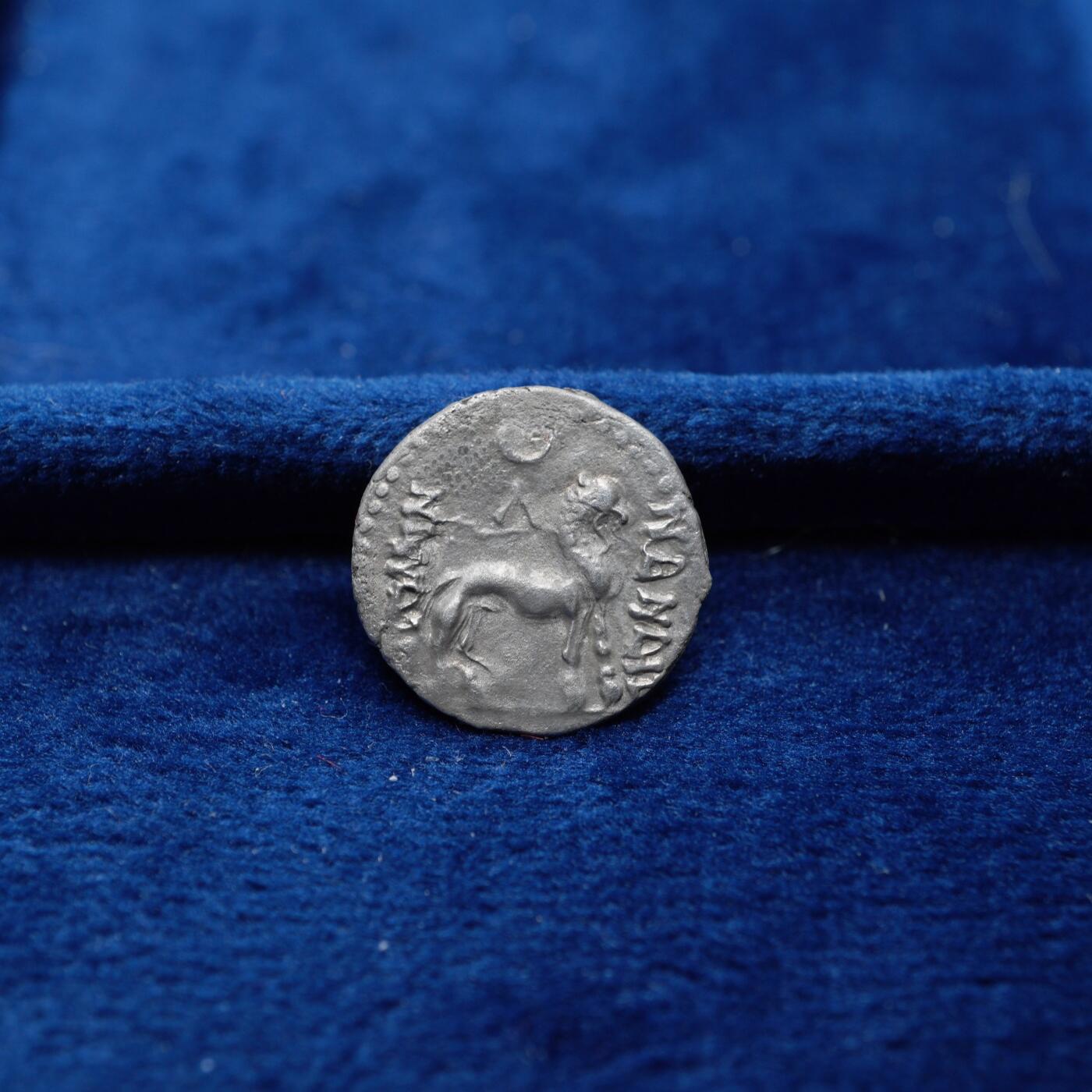 琋语集藏2026年04月欧洲古典打制币拍卖 印度-希腊 巴克特里亚 月氏 萨帕德比泽斯与狮子1/2德银币