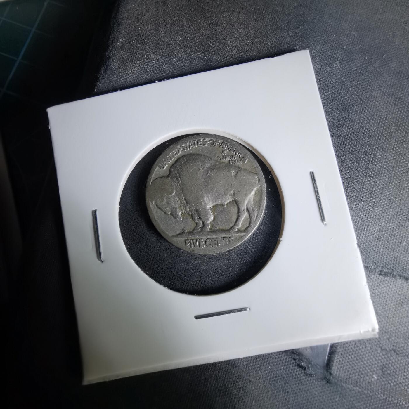 沼泽如烟--第1037场 美国野牛五分