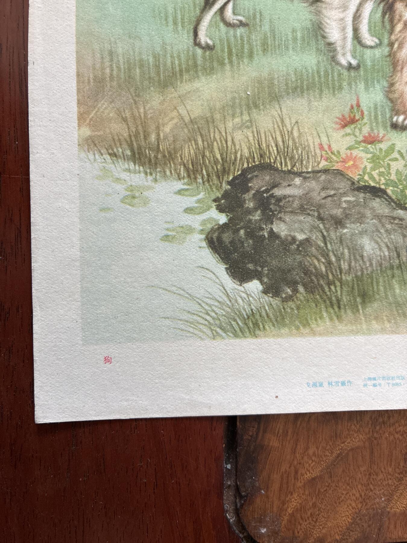 情怀旧藏儿时记忆经典收藏交流拍卖会