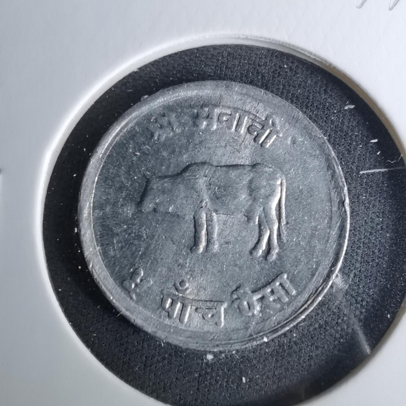 沼泽如烟--第1037场 尼泊尔