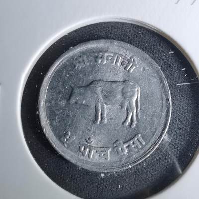 沼泽如烟--第1037场 - 尼泊尔