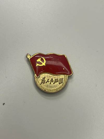 新时代收藏快速小拍 拍卖本周一线所得新货 3月29日场 - 党员证章 磁吸版 党徽丢了的朋友可以买 正版