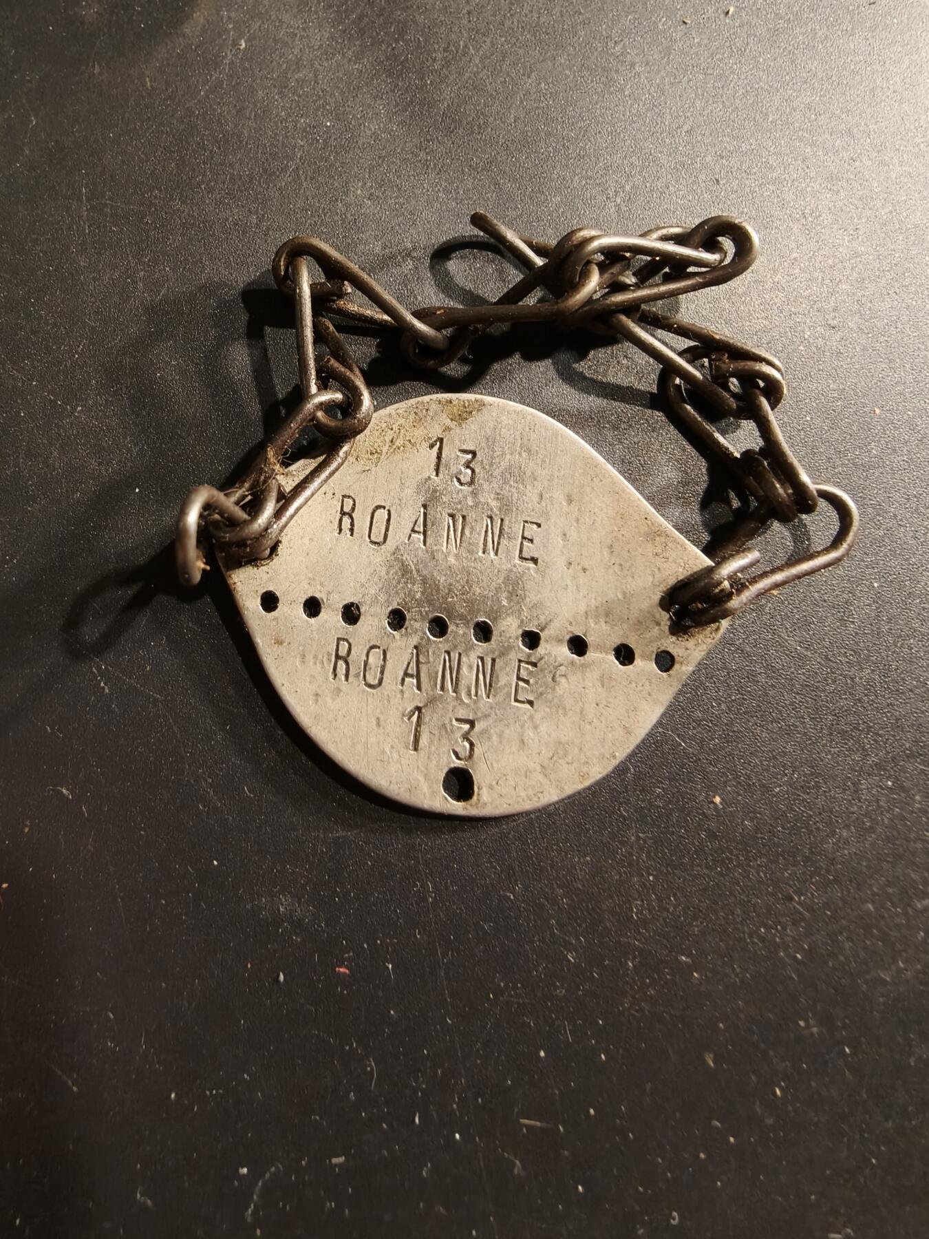 老王徽章第190期 法国狗牌   1927年入伍