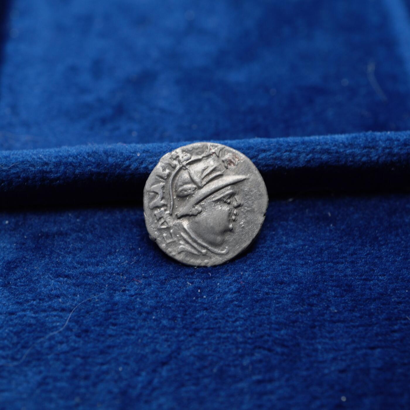 琋语集藏2026年04月欧洲古典打制币拍卖 印度-希腊 巴克特里亚 月氏 萨帕德比泽斯与狮子1/2德银币