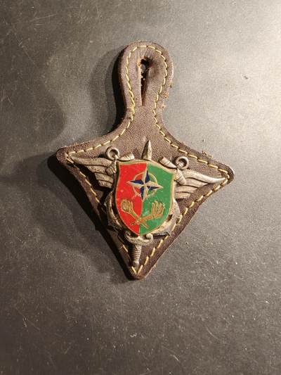 老王徽章第190期 - 法国陆军油料部队证章