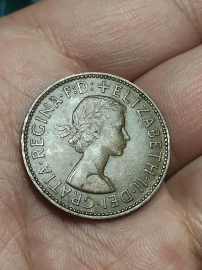 2026年第三十八场(总第二百零七场）外国好品散币场(免佣金) - 英国🇬🇧1958年半便士(伊丽莎白二世青年桂冠第二版)