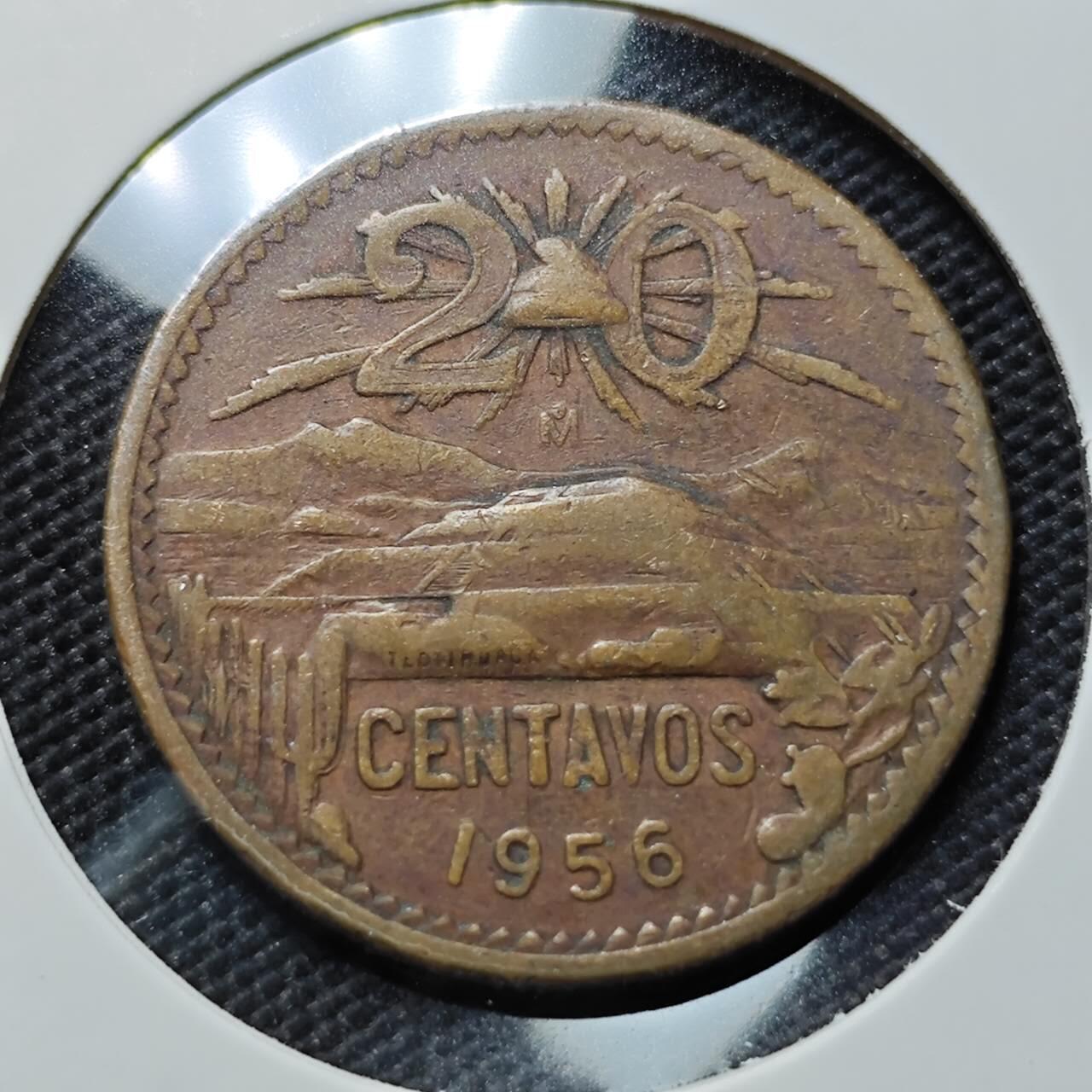 KK钱币收藏小铺  第410期 2月预留时间 周末发货