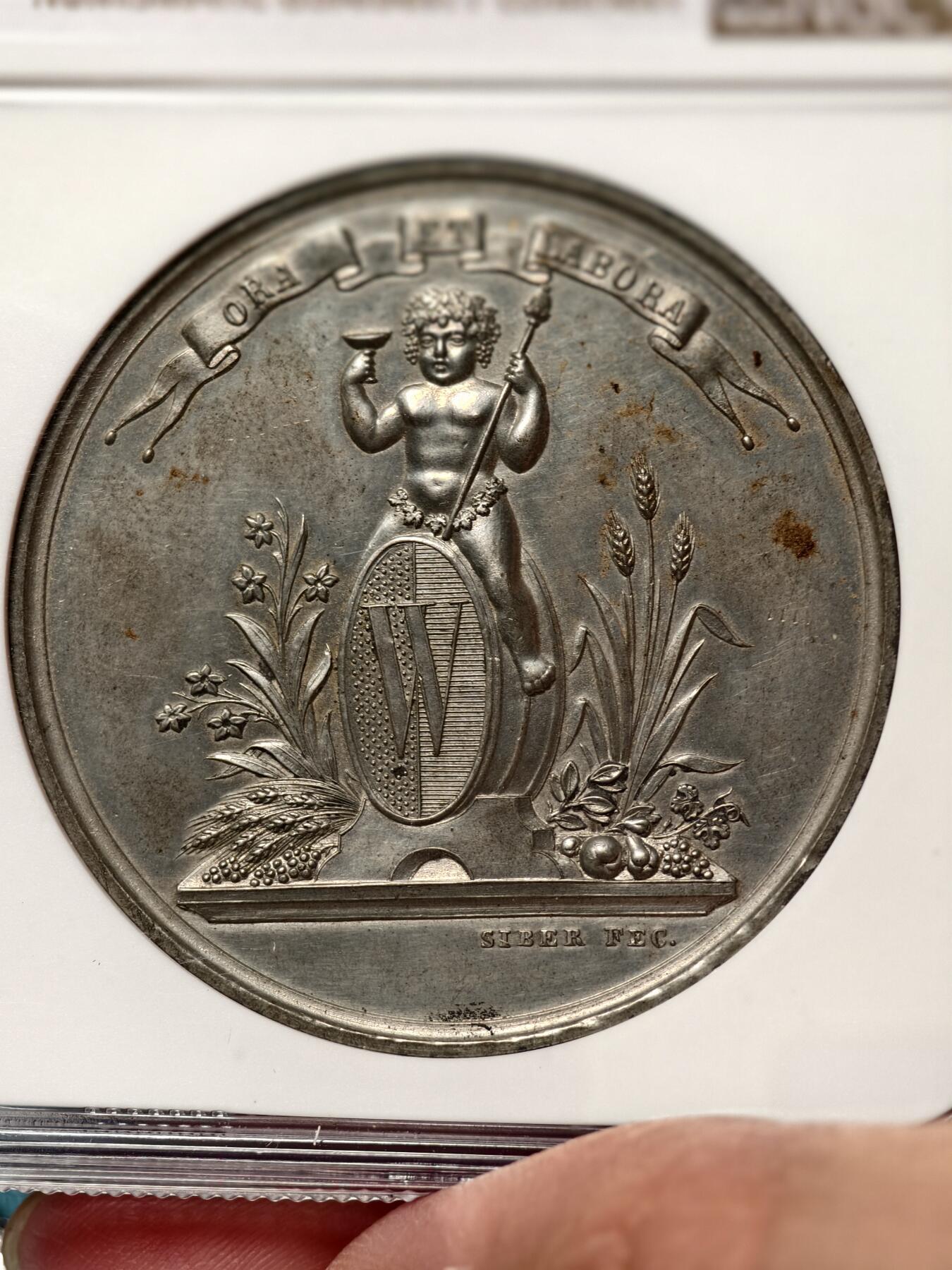 抚柳草堂-第二十期章牌钱币  奖章勋章免佣最后一期 满百包邮 放漏专场 1865NGC UNC 瑞士韦威葡萄酒欢庆节 42mm锌章 特殊材质保存不易 细节非常棒 少见品种