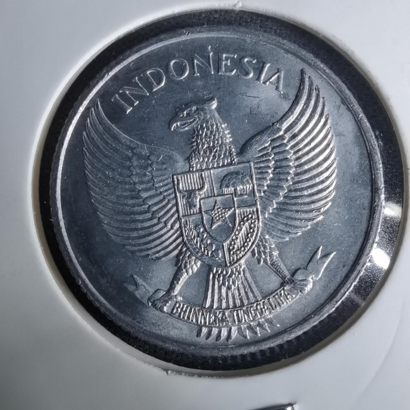 沼泽如烟--第1037场