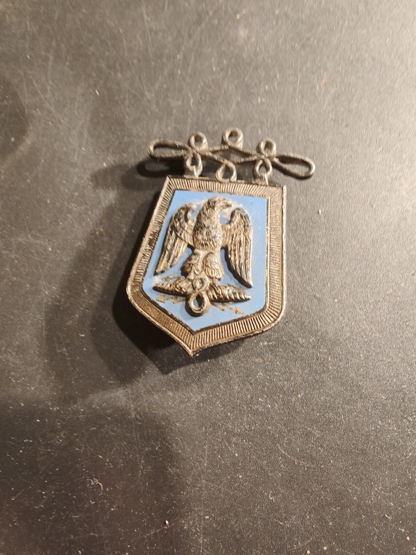 老王徽章第190期 法国陆军第8骠骑兵团证章