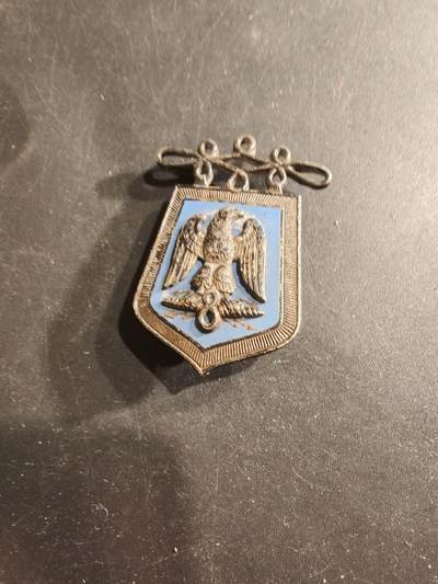 老王徽章第190期 - 法国陆军第8骠骑兵团证章