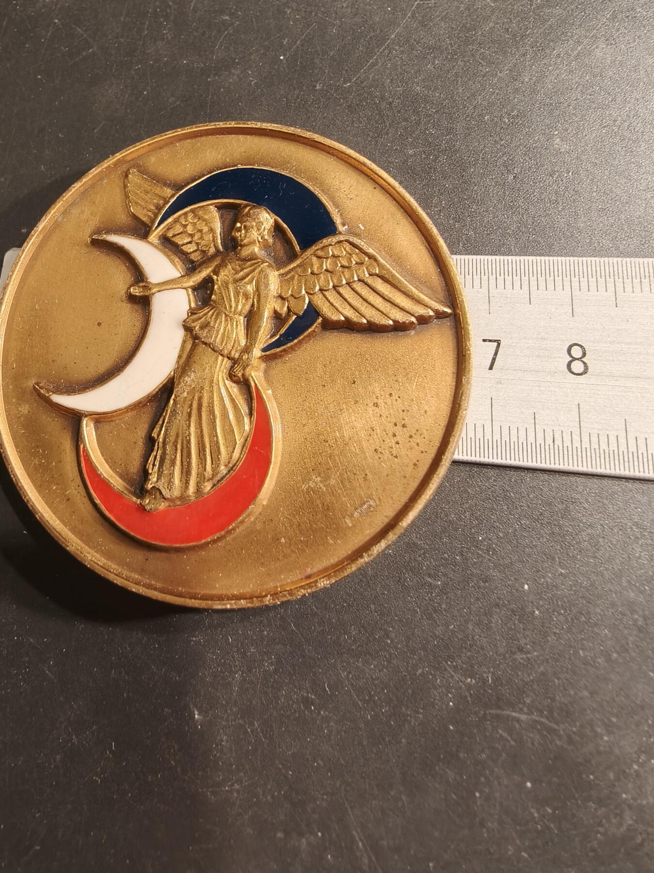 老王徽章第190期 法国陆军阿尔及利亚第3步兵师大铜章    授予平斯曼少将    直径68mm    重量142.5