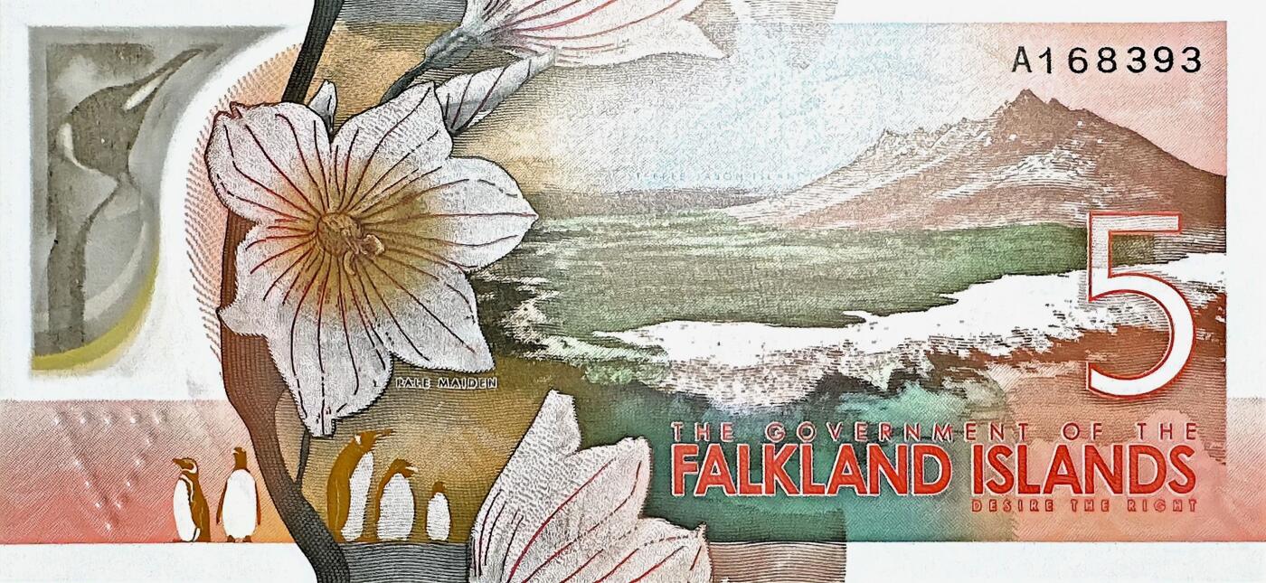 福克兰5镑IBNS入围UNC