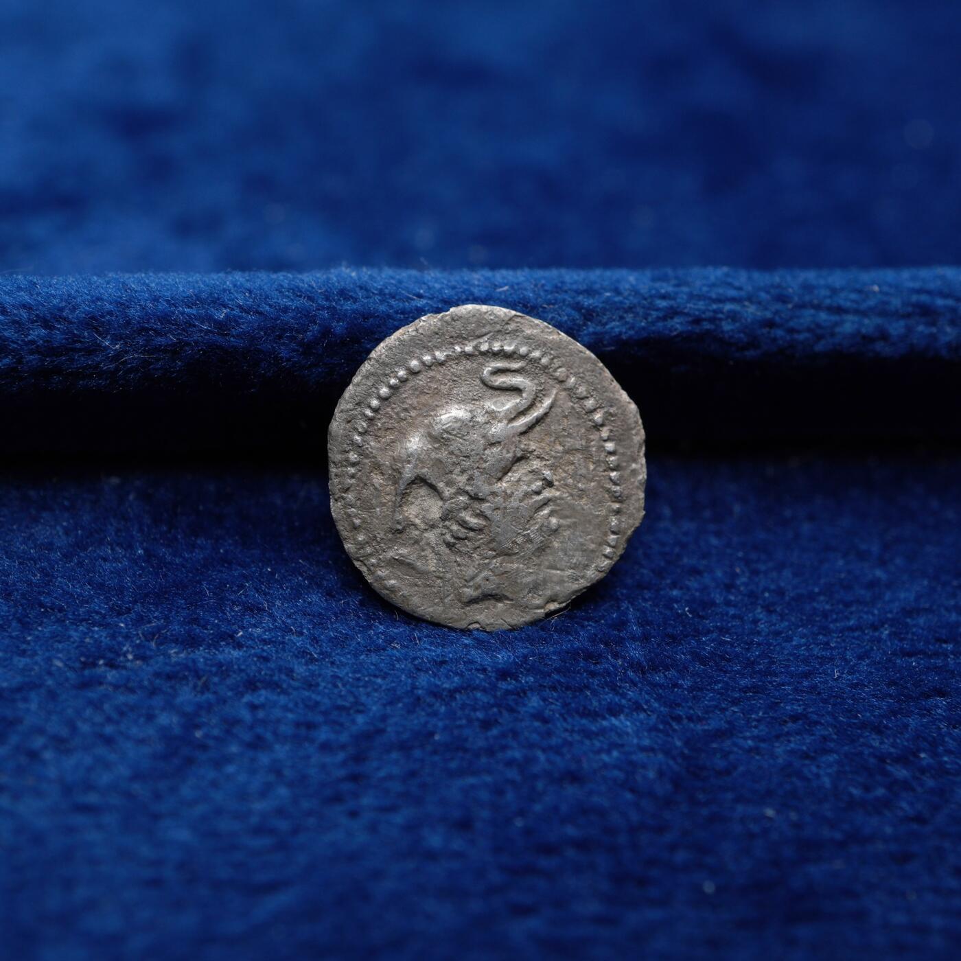 琋语集藏2026年04月欧洲古典打制币拍卖 古希腊巴克特里亚王国-德米特里乌斯一世象盔银币