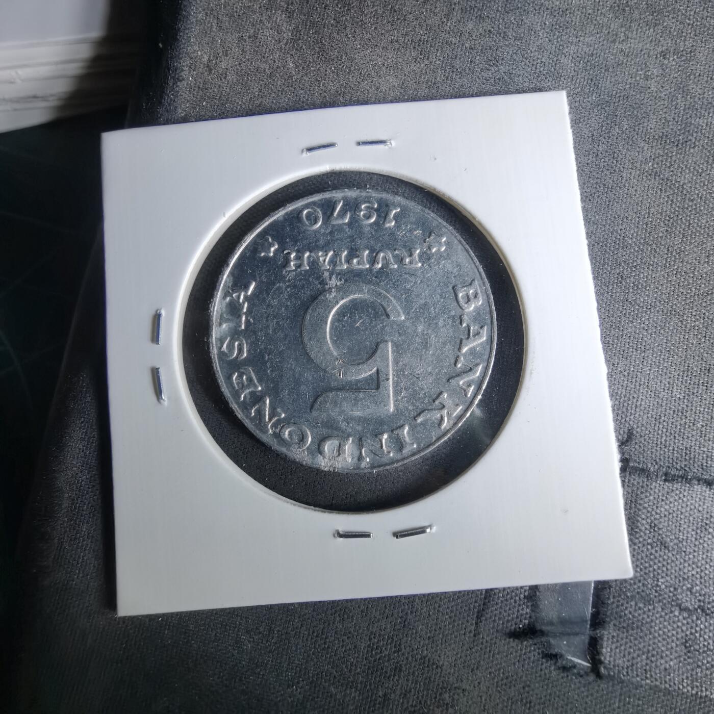 沼泽如烟--第1037场