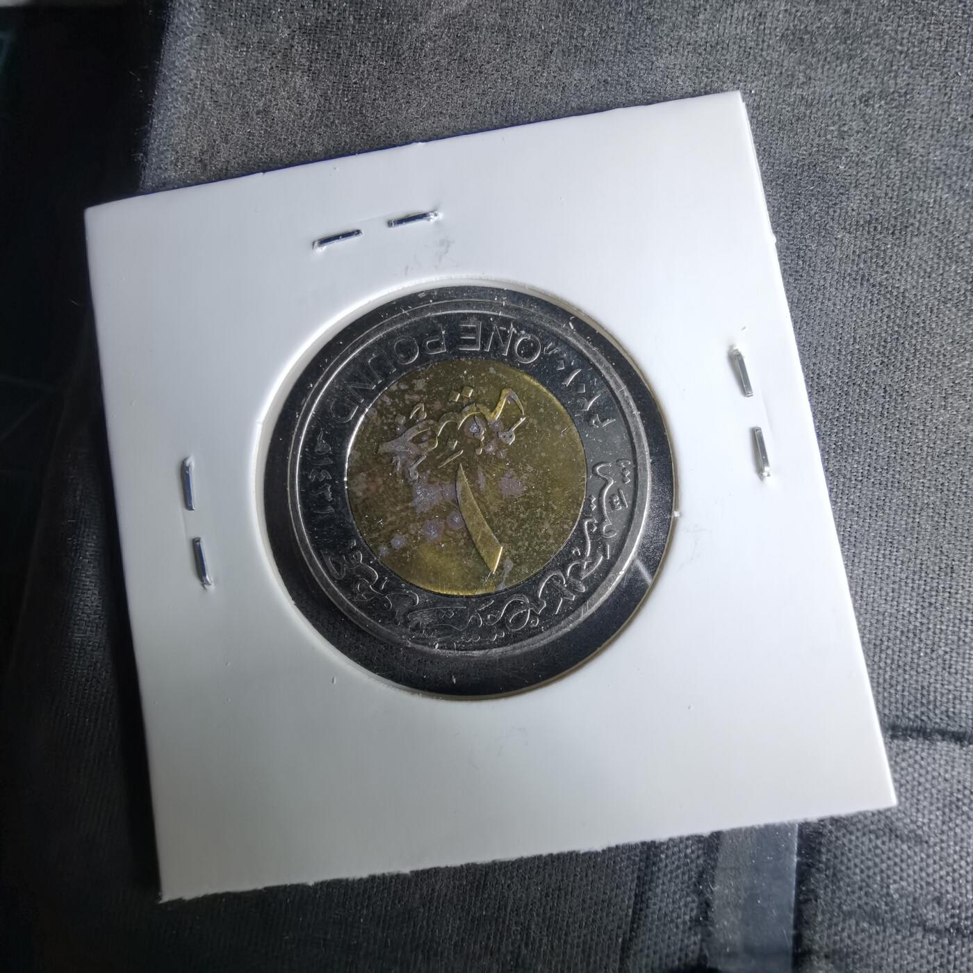 沼泽如烟--第1037场 埃及