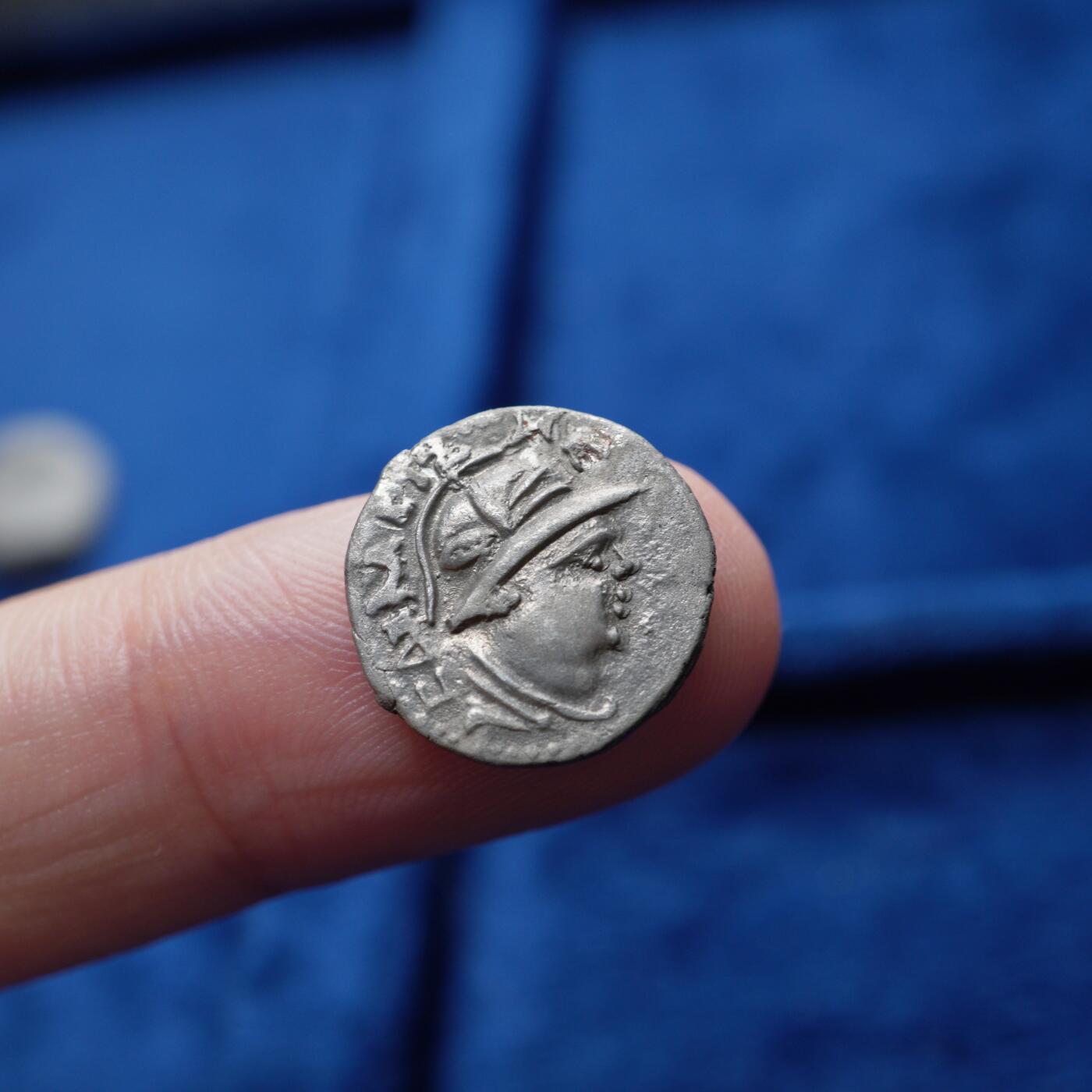 琋语集藏2026年04月欧洲古典打制币拍卖 印度-希腊 巴克特里亚 月氏 萨帕德比泽斯与狮子1/2德银币