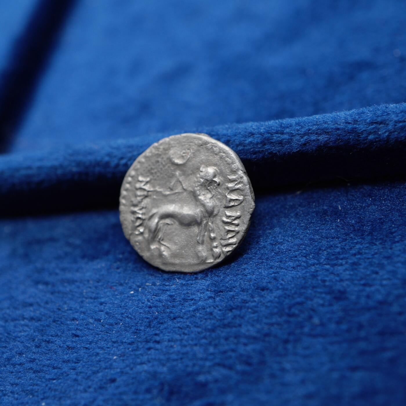 琋语集藏2026年04月欧洲古典打制币拍卖 印度-希腊 巴克特里亚 月氏 萨帕德比泽斯与狮子1/2德银币