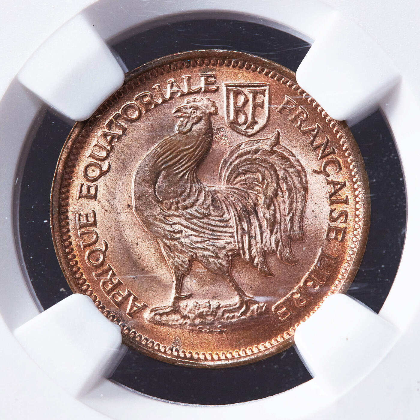 【俄甄集藏】2026年(050)04-01星期三 晚 19:30 全场包邮 法属赤道非洲1943年SA版高卢雄鸡50分铜币，NGC MS65RB，原铜光难得，转光品相，经典品种