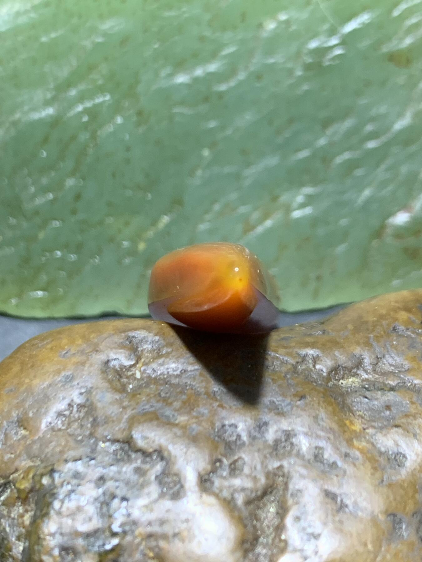 蒙料冻料战国红玛瑙通货牙形吊坠一个