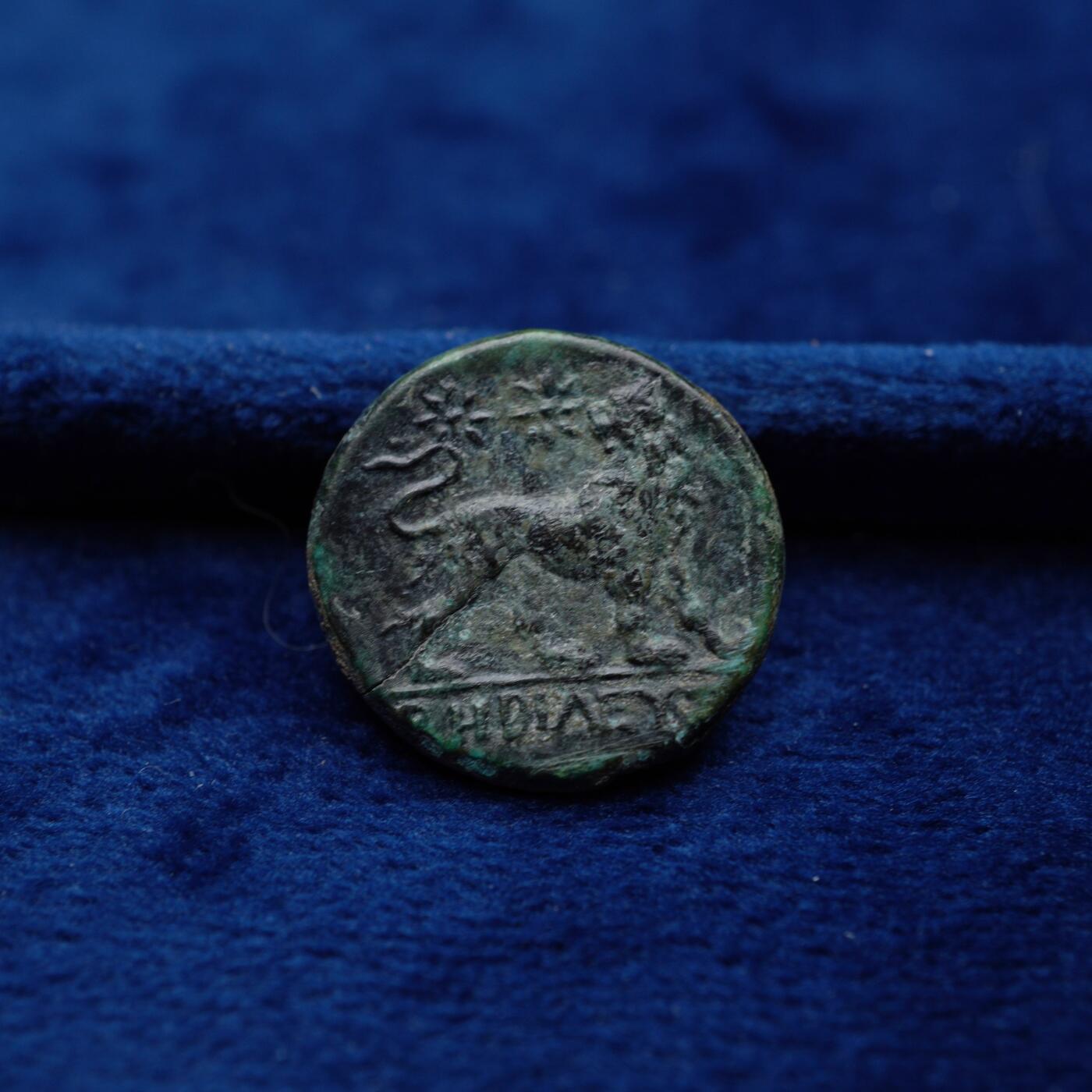 琋语集藏2026年04月欧洲古典打制币拍卖 古希腊爱奥尼亚太阳神阿波罗与回首狮子铜币