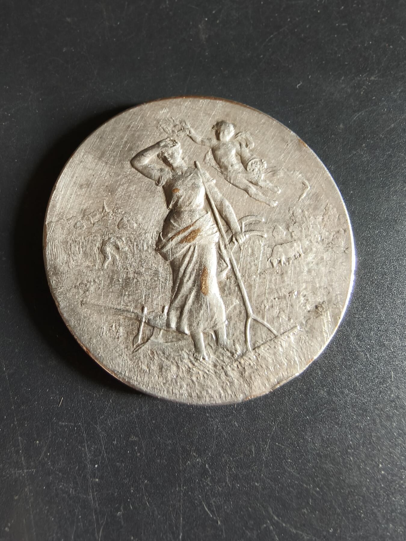 老王徽章第190期 法国布里夫地区农业协会镀银大铜章      原盒       直径50mm     重量58.5g