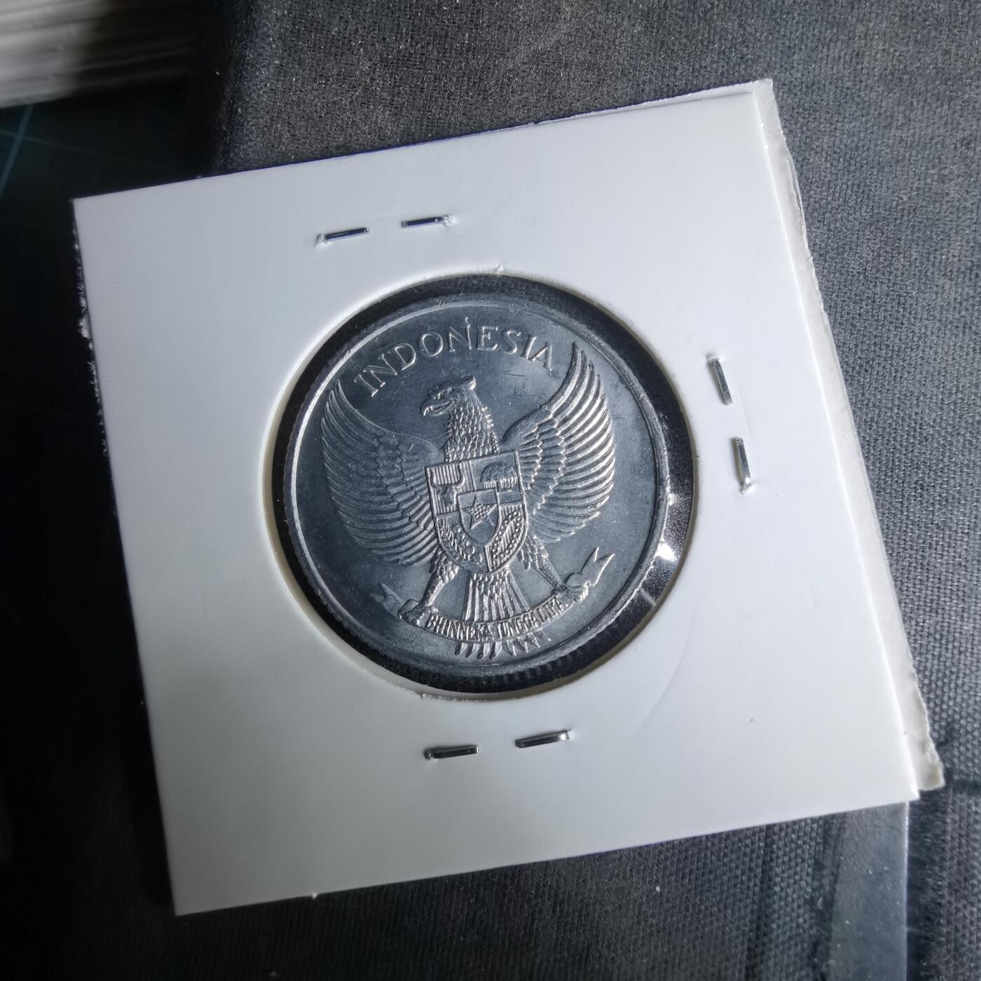 沼泽如烟--第1037场