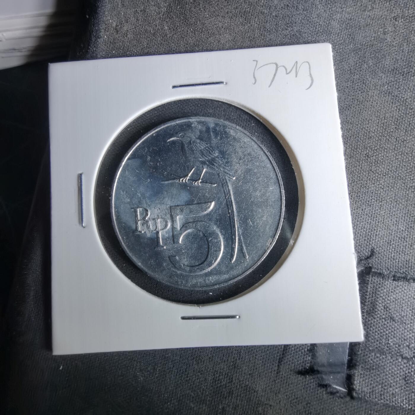 沼泽如烟--第1037场