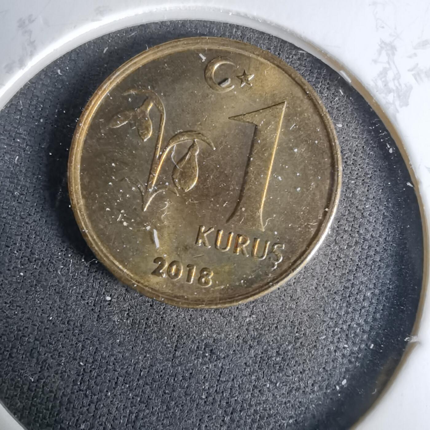 沼泽如烟--第1037场 土耳其2018年1库鲁